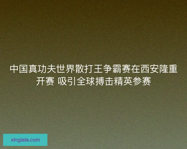 中国真功夫世界散打王争霸赛在西安隆重开赛 吸引全球搏击精英参赛 中国真功夫世界散打王争霸赛在西安隆重开赛 吸引全球搏击精英参赛
